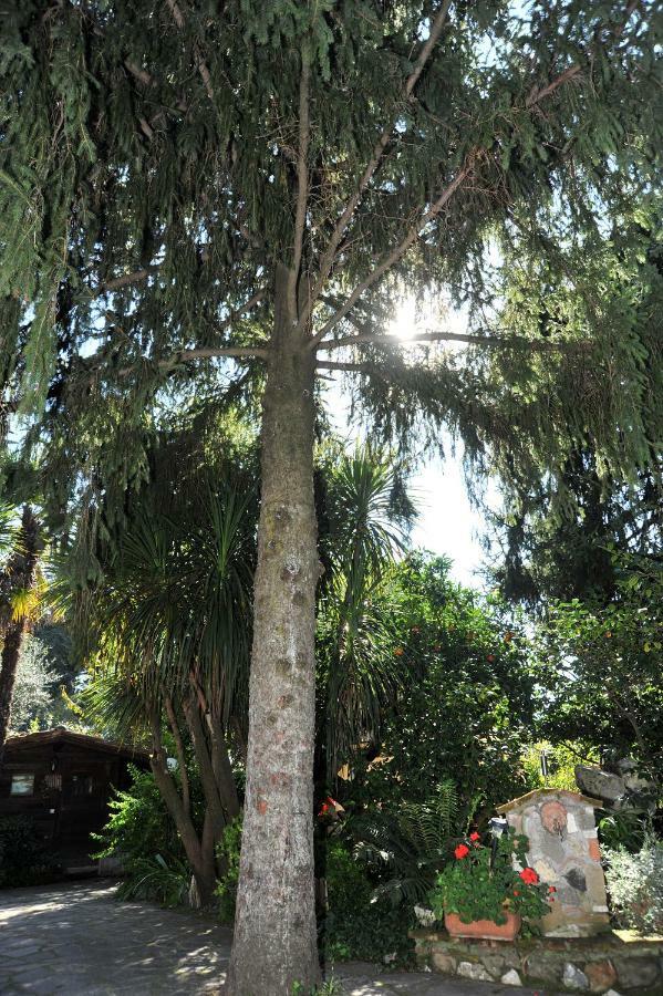 مبيت وإفطار فليتري Casa Pontecorvi المظهر الخارجي الصورة